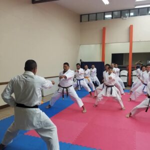 ACADEMIA BUSHIDO