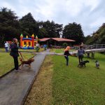 parque_para_perros-III-min